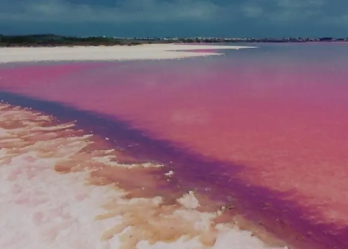 Imperial Ii Apartament Torrevieja